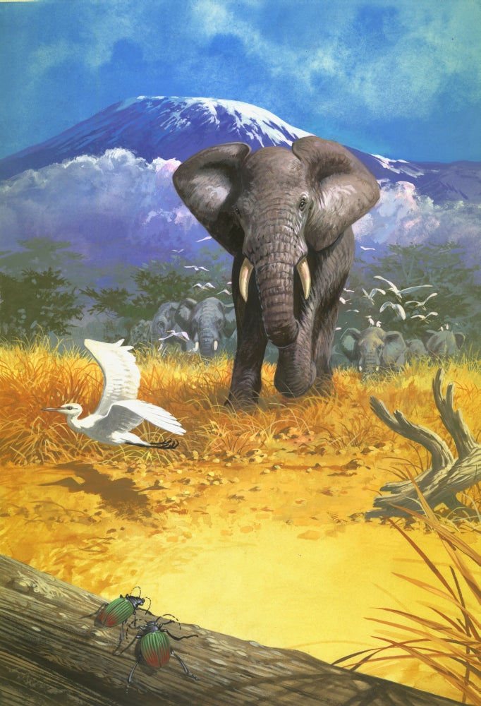 Standing Elephant Poster Print showcasing the majestic elephant by John Francis.