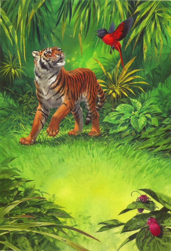 Tiger in Forest Poster Print by John Francis