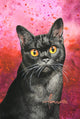 Black Shorthair Poster Print by John Francis showcasing a charming black cat.