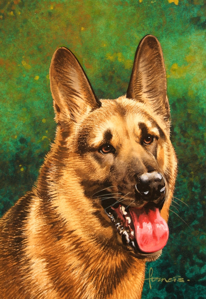 German Shepherd Poster Print by John Francis featuring a loyal dog
