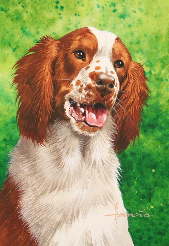 Spaniel Poster Print by John Francis showcasing a beautiful spaniel dog.