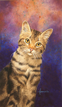 Tabby Cat Poster Print by John Francis - animal art