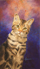Tabby Cat Poster Print by John Francis - animal art