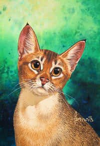 Abyssinian Poster Print by John Francis featuring a beautiful depiction of an Abyssinian cat.
