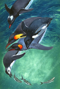 Penguins in Chase Poster Print by John Francis, showcasing playful penguins in a vibrant scene.