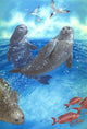 Seals at Play Poster Print by John Francis on premium paper.