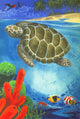 Swimming Turtle Poster Print featuring a turtle swimming in clear water.