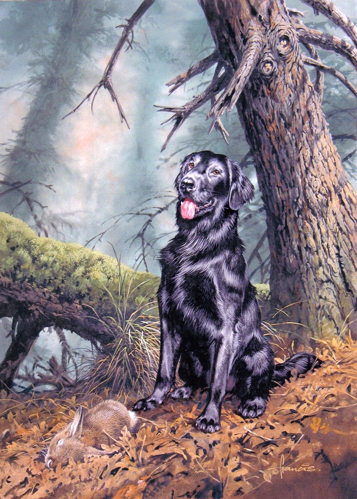 Ruffin Poster Print by John Francis showcasing vibrant colors and stunning details