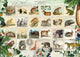 Animal Stamps Poster Print featuring a variety of wildlife designs by Aimee Stewart.