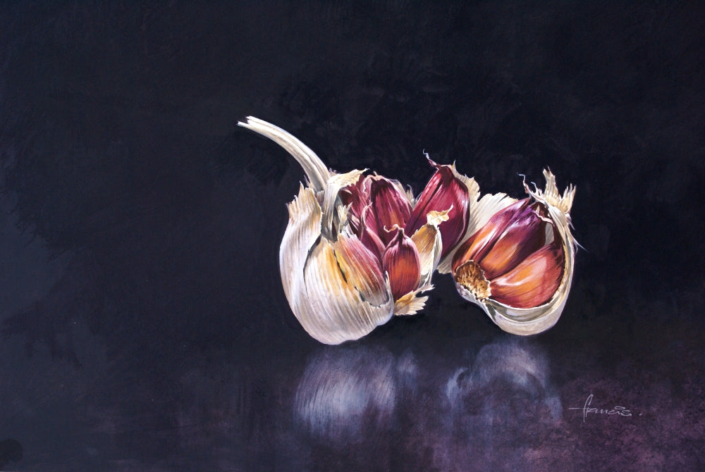 Garlic on Black Poster Print by John Francis showcasing a striking contrast.