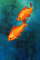 Goldfish Poster Print by John Francis featuring vibrant goldfish swimming.