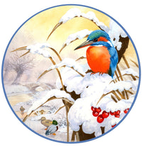 Kingfisher Plate Poster Print by John Francis - vibrant nature artwork