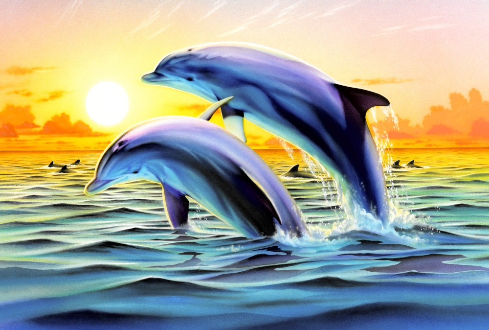Dolphin Duo Poster Print by Robin Koni showcasing two dolphins swimming together.