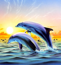 Dolphin Duo Poster Print by Robin Koni showcasing two dolphins swimming together.