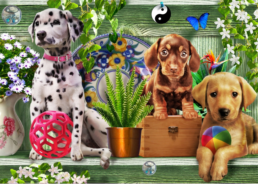 Shelf Puppies Poster Print by Adrian Chesterman featuring playful puppies.