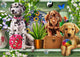 Shelf Puppies Poster Print by Adrian Chesterman featuring playful puppies.