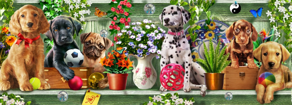 Shelf Puppies Poster Print by Adrian Chesterman featuring playful puppies.