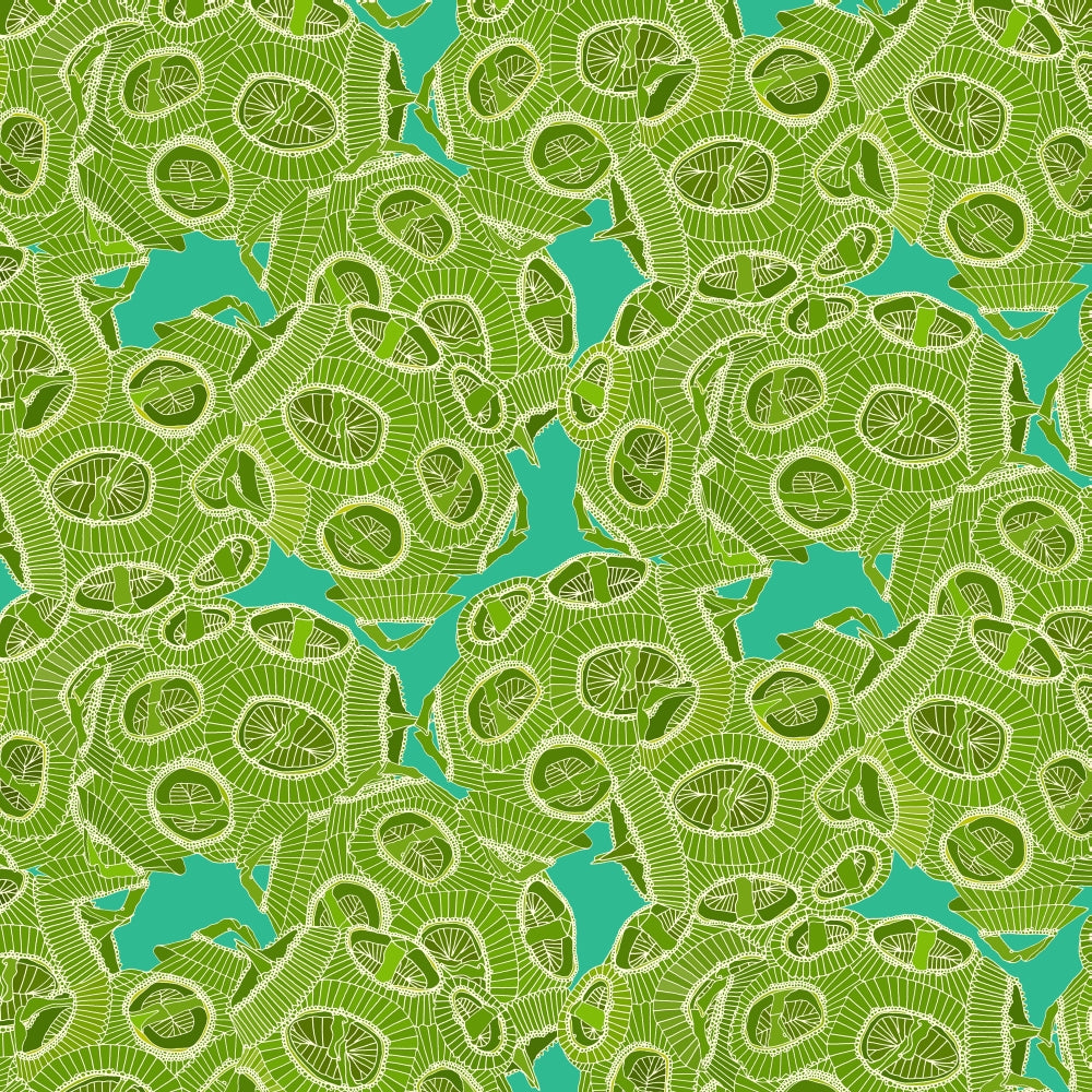 Algae Black Poster Print by Sharon Turner, showcasing intricate details and bold black hues.