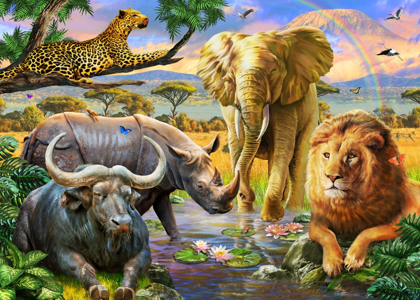 Big 5 Education Poster Print by Adrian Chesterman showcasing African wildlife.