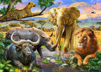 Big 5 Education Poster Print by Adrian Chesterman showcasing African wildlife.