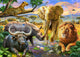 Big 5 Poster Print by Adrian Chesterman featuring iconic African wildlife.