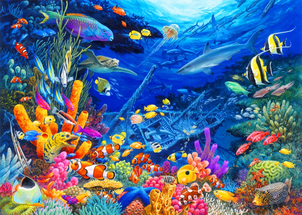 Undersea Wonders Poster Print by John Francis, vibrant underwater artwork