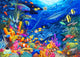 Undersea Wonders Poster Print by John Francis, vibrant underwater artwork