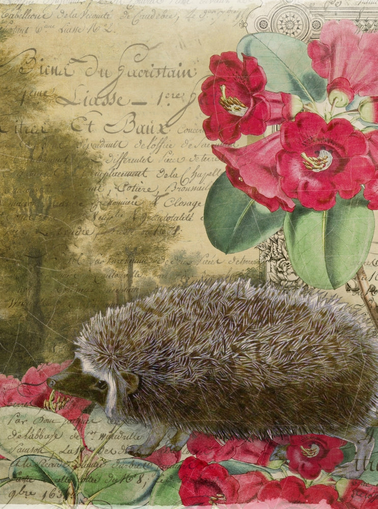 Whimsical Hedgehog Art Print by Aimee Stewart, vibrant colors and playful design.