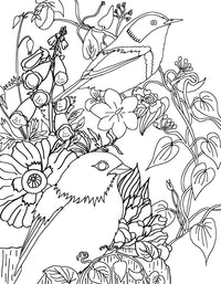 Birds Coloring Page Poster Print by Aimee Stewart featuring intricate designs.