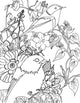 Birds Coloring Page Poster Print by Aimee Stewart featuring intricate designs.