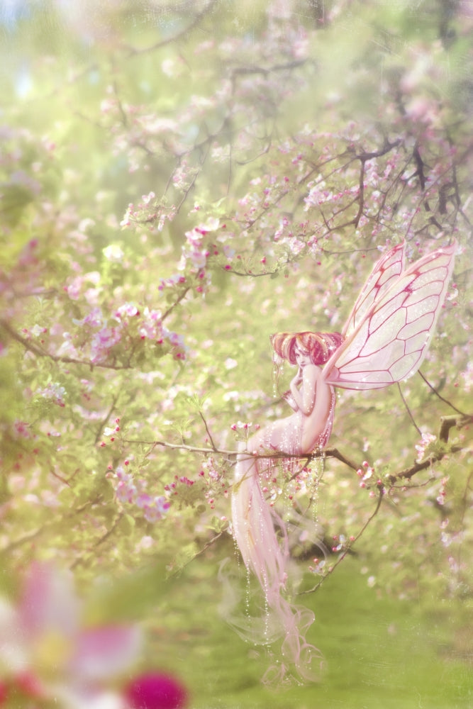 Apple Blossom Poster Print by Aimee Stewart - Floral Art