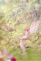 Apple Blossom Poster Print by Aimee Stewart - Floral Art