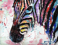 Colourful Zebra Poster Print by Sarah Stribbling on premium paper