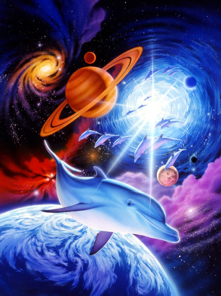 Astral Dolphins 1 Variant 1 Poster Print by Robin Koni
