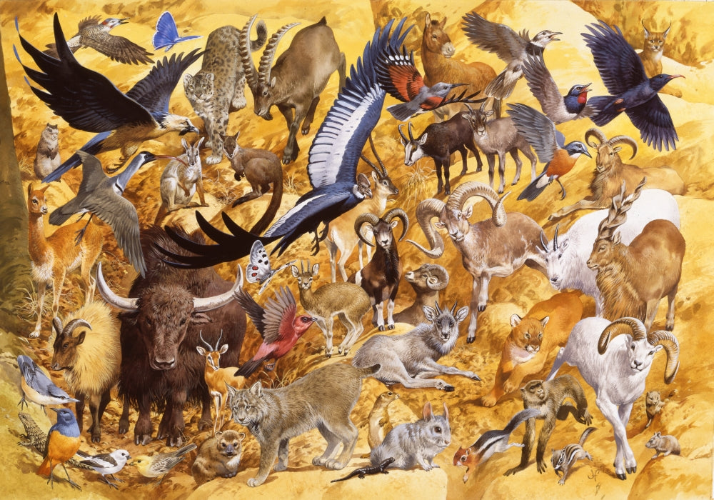 Rocky Places Poster Print by John Francis - nature landscape art
