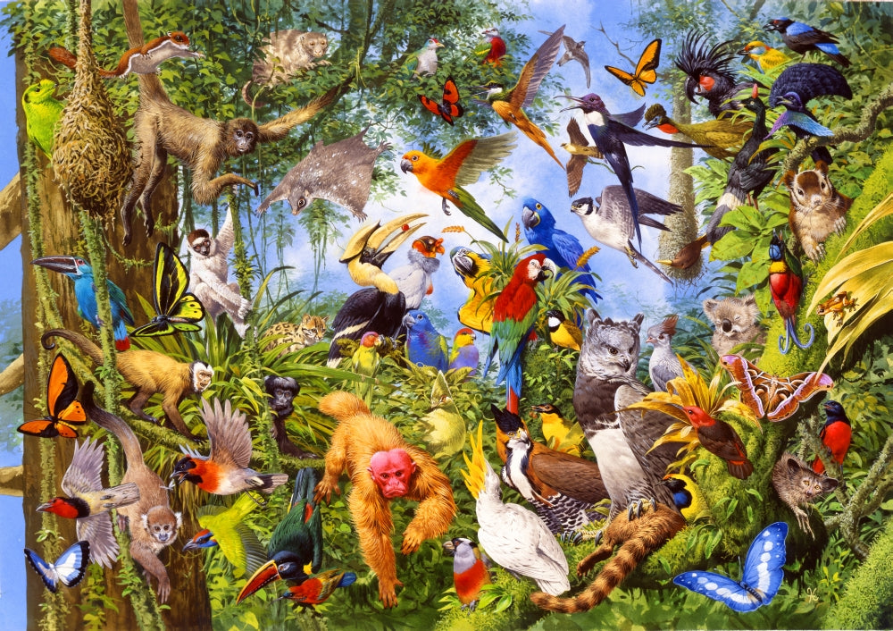 Tropical Rainforest Treetop Poster Print by John Francis