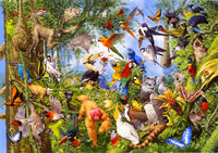 Tropical Rainforest Treetop Poster Print by John Francis