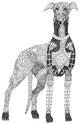 Greyhound Dog Poster Print by Sharon Turner in black and white.