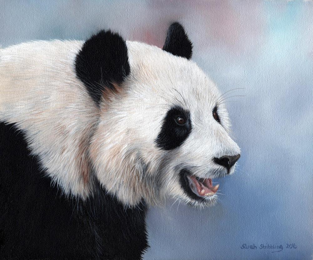Giant Panda Poster Print by Sarah Stribbling, showcasing a playful panda in its natural habitat.