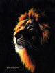 Lion Twilight 2 Poster Print by Sarah Stribbling showcasing a majestic lion at sunset.