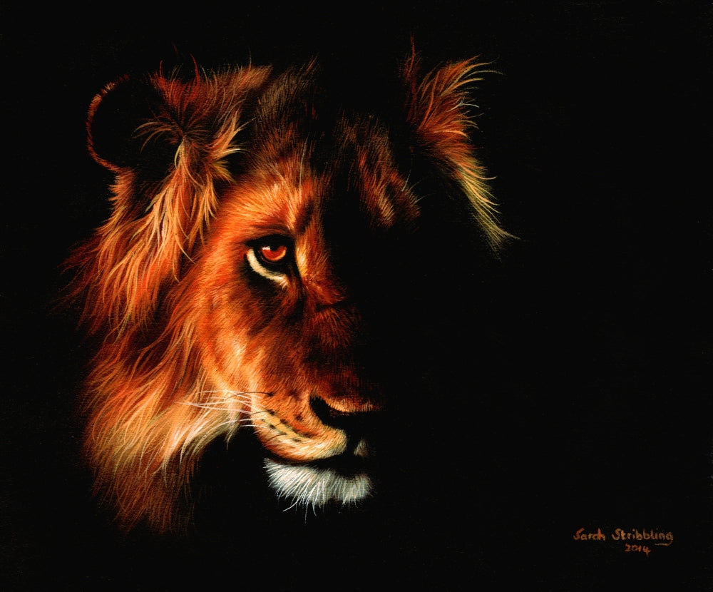 Lion Twilight Poster Print by Sarah Stribbling - Majestic lion silhouette against a twilight sky