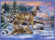 Wolves in Winter Poster Print by Jan Patrick, showcasing wolves in a snowy landscape.