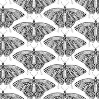 Swallowtail Butterfly Teal Poster Print by Sharon Turner