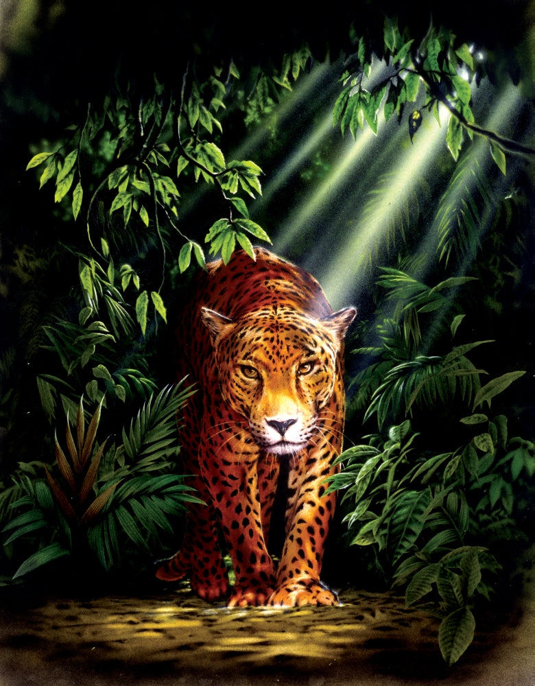 Jungle Leopard Poster Print by Robin Koni showcasing a leopard in vibrant colors.