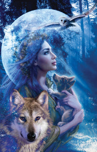 Moonlit Brethren Poster Print by Andrew Farley, showcasing beautiful night imagery.