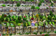 I Can See Our Home From Here poster by Colin Thompson, colorful art print.