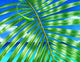 Paradise Frond Poster Print by Carolyn Steele showcasing tropical foliage.