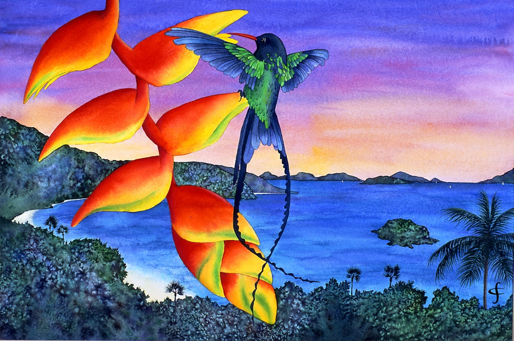 Sundowner At Cinnamon Poster Print by Carolyn Steele, showcasing a serene sunset scene.