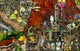 Back To Your Roots Variant 1 Poster Print by Colin Thompson, whimsical art design