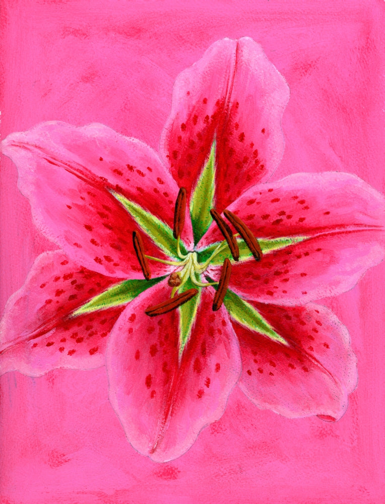 Lily Poster Print by Brian James showcasing vibrant floral beauty.